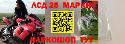 молекула духа Лесосибирск
