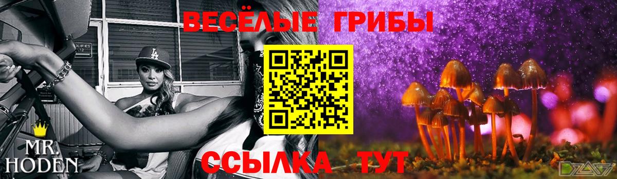 Галлюциногенные грибы мухоморы  Вход с VPN  Псилоцибиновые грибы мухоморы  Елец 